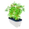 Emsco Group Self-Watering Rail Planter Grow Box, 24in Weatherproof Resin Planter, Up to 6in Railings, White 2434-1 - alternate 4